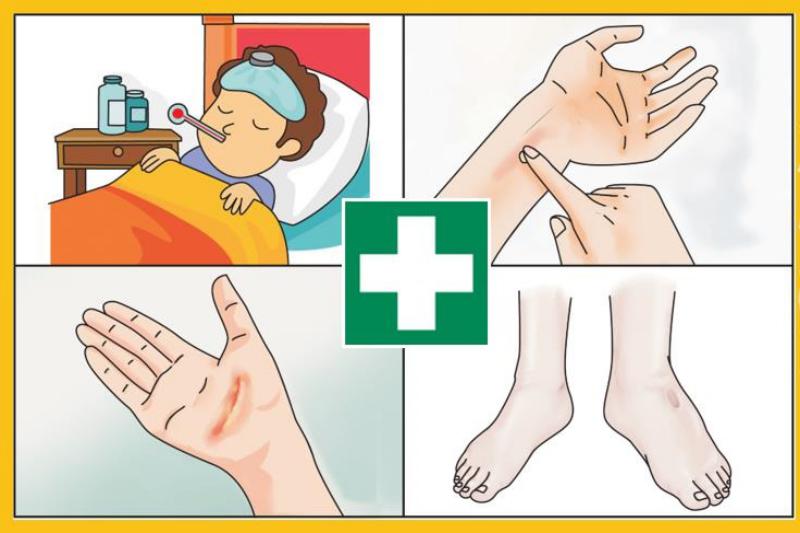 First Aid